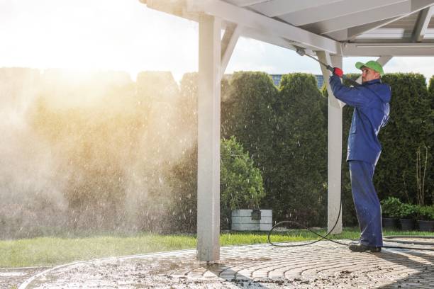 Best Sidewalk and Walkway Cleaning  in Alamo Heights, TX