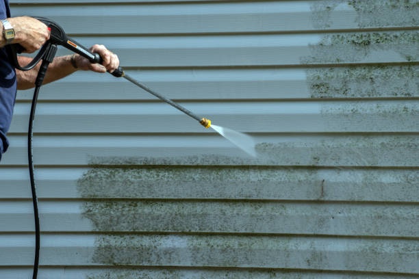 Best Graffiti Removal  in Alamo Heights, TX
